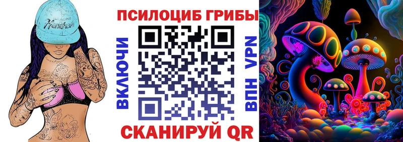дарнет шоп  Андреаполь  Псилоцибиновые грибы MAGIC MUSHROOMS 